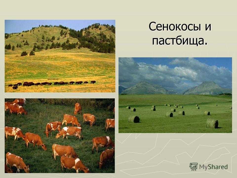 Пастбищеоборот