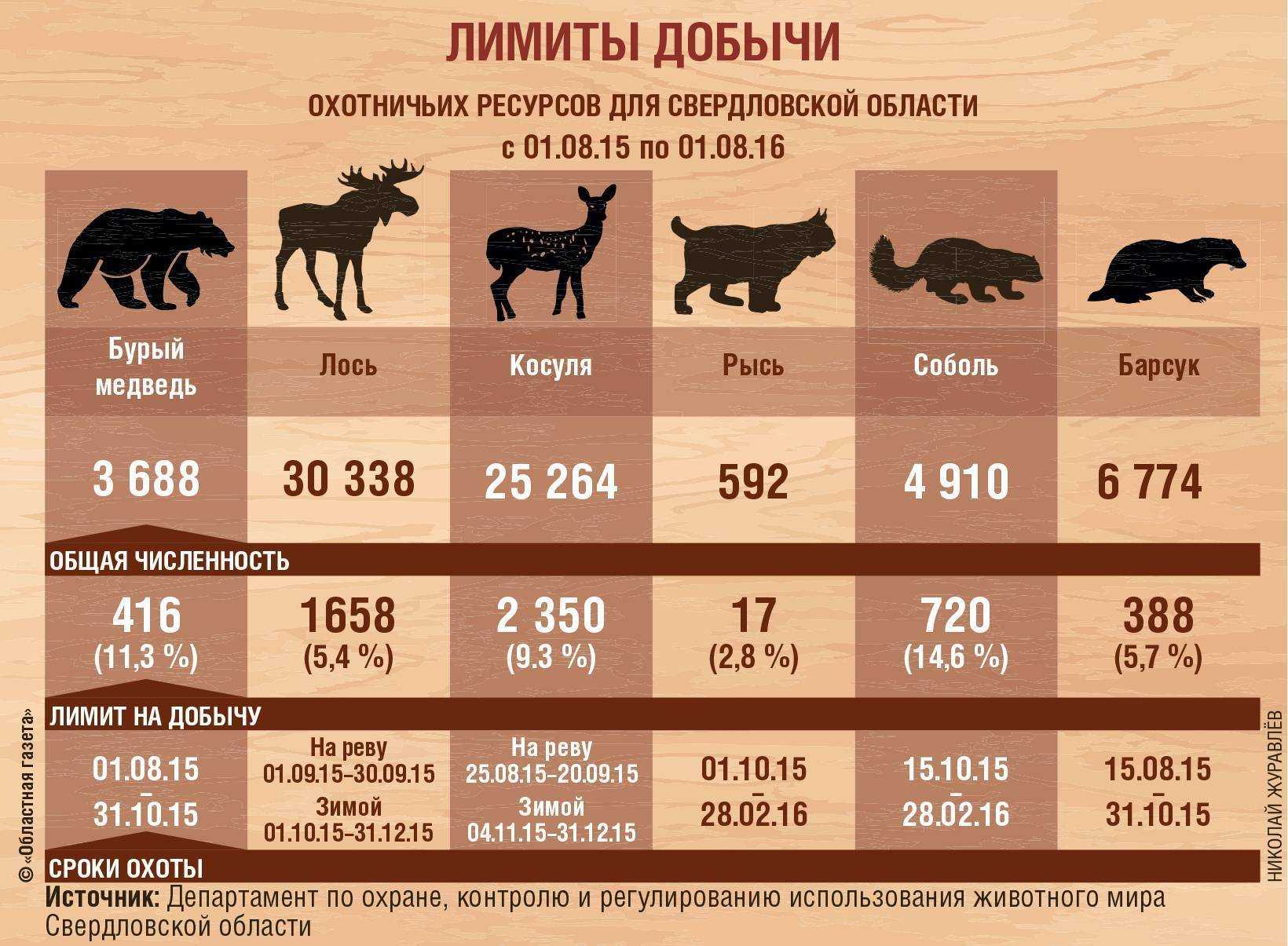 Как разделать кабана в домашних условиях и в лесу: правила и рекомендации - truehunter.ru