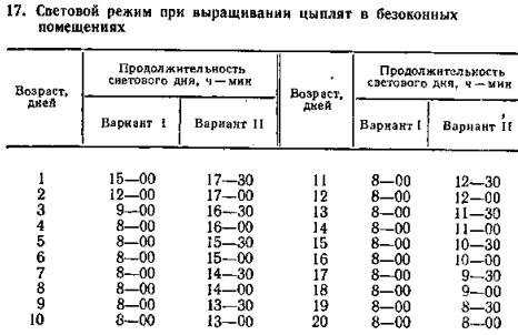 Яйценоскость кур несушек: особенности, как повысить в домашних условиях?