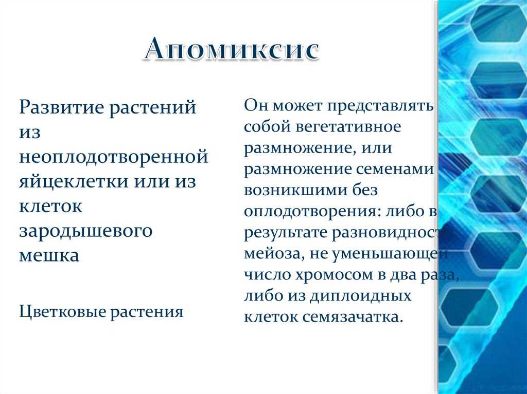 Типы, механизм, значение и примеры апомиксиса
