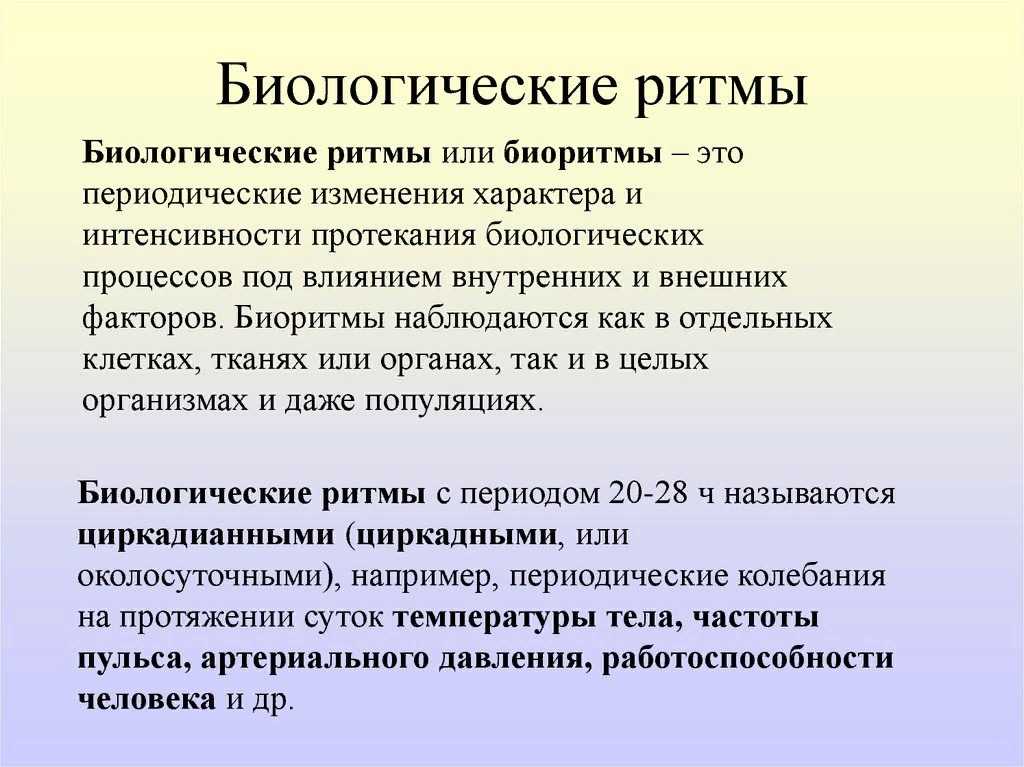 Циркадные ритмы: что это и как их поймать / skillbox media