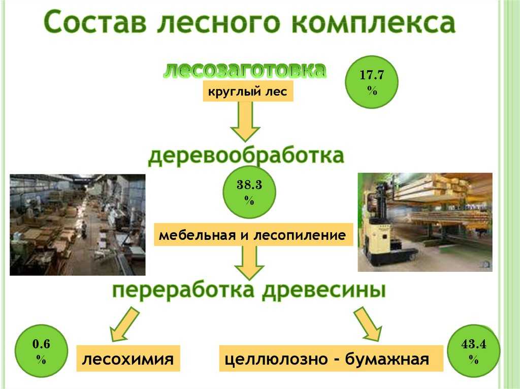 Классификация лесоматериалов |