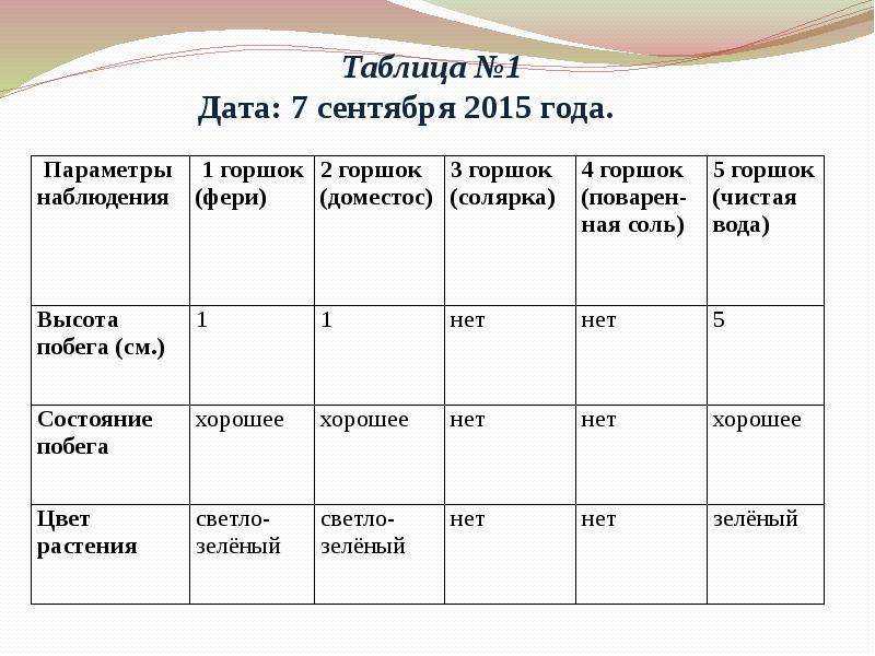 Выращиваем репчатый лук на даче