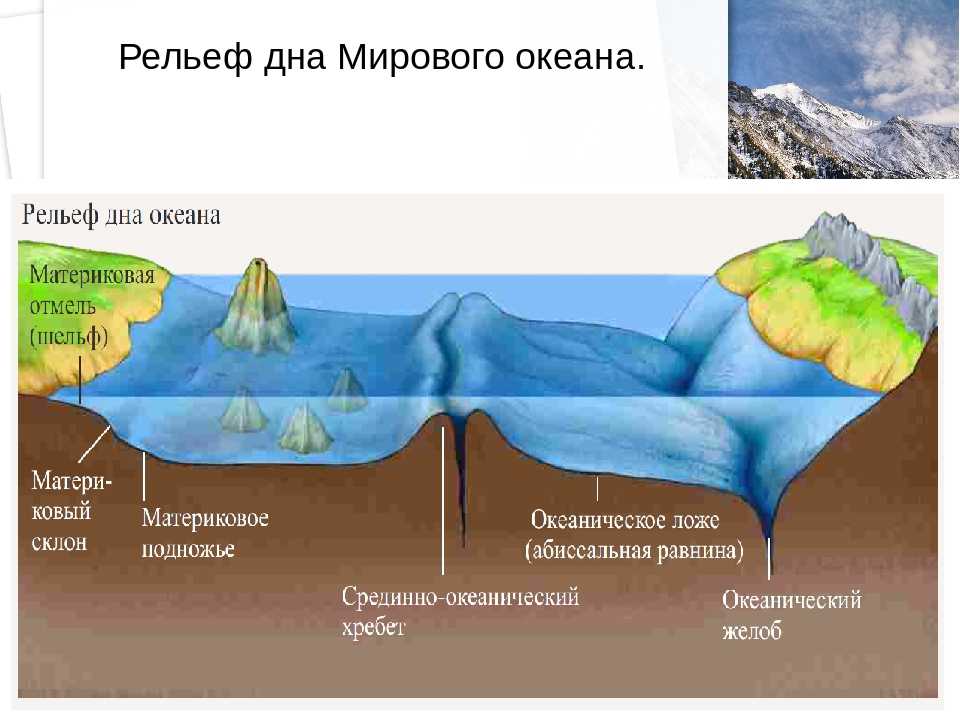 Кора и верхняя мантия под океанами (геофизика/тектоника) | geologam.ru