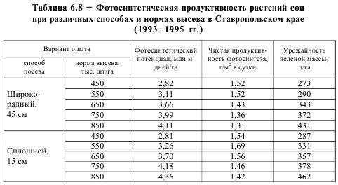 Выращивание сои: норма высева семян сои на 1 га в кг