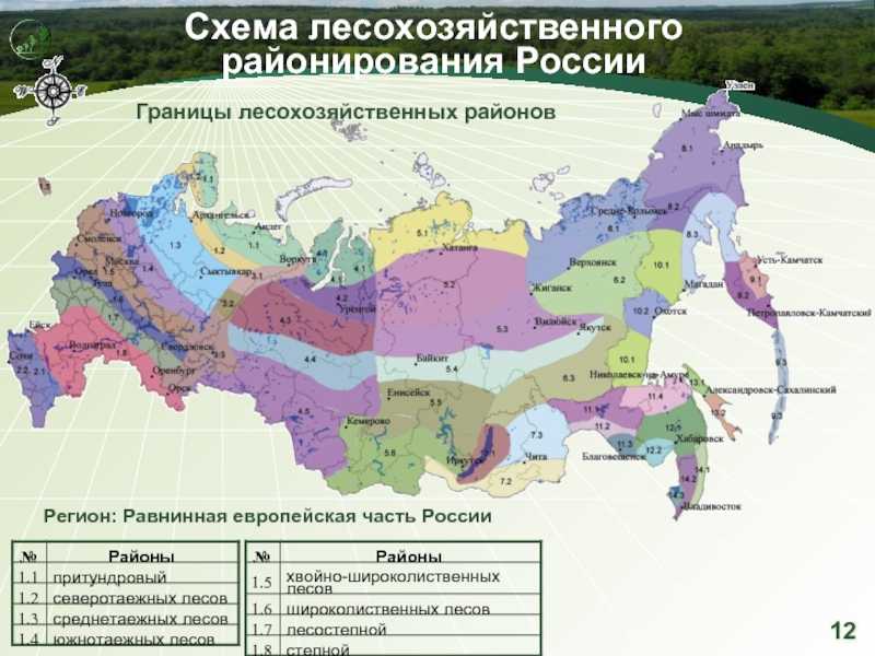 Презентация, доклад по модулю пм 01.