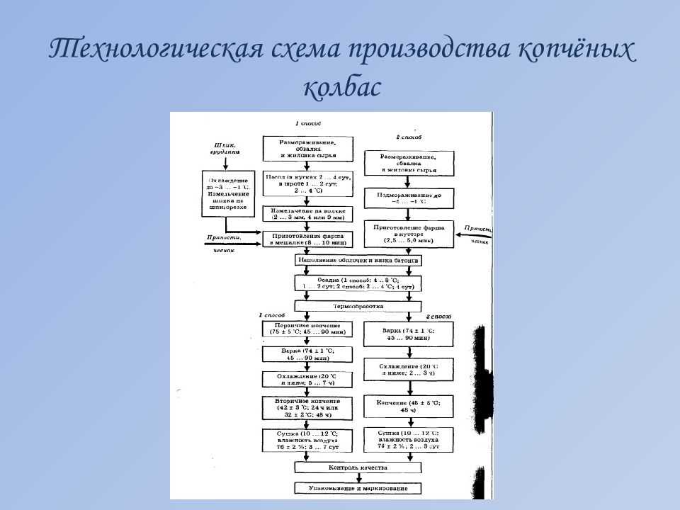 Мини завод колбасных изделий