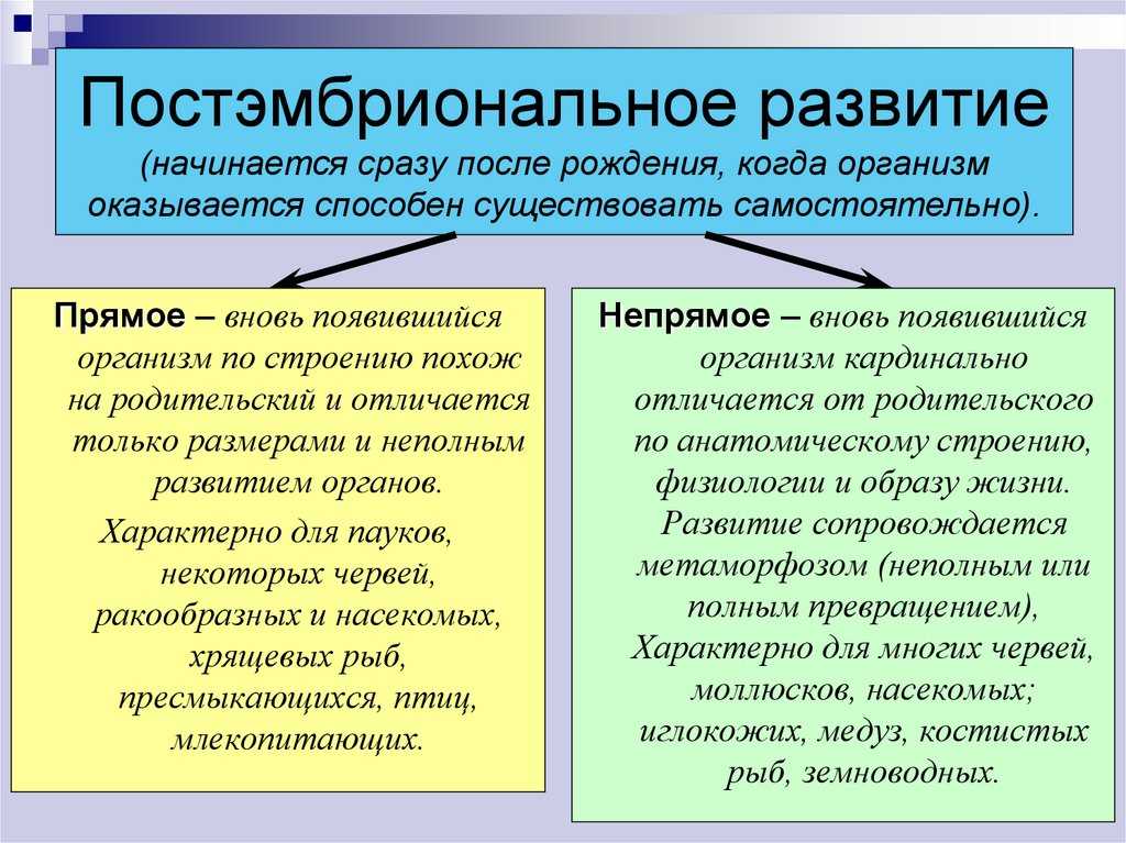 Индивидуальное развитие. постэмбриональный период (10 класс)  доклад, проект