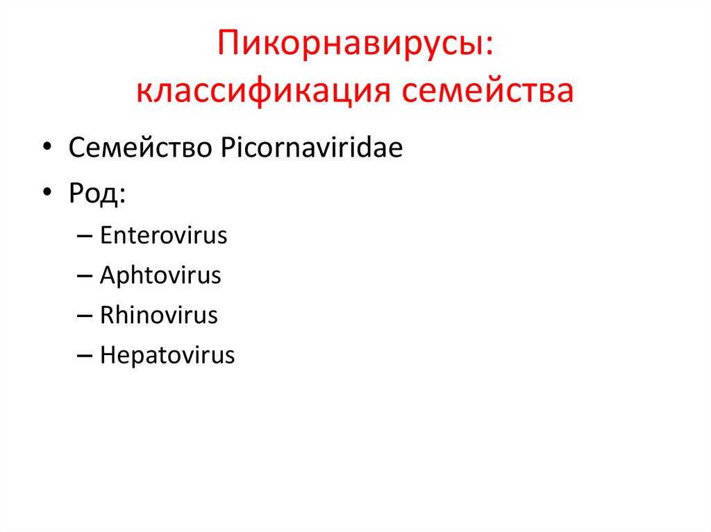 Пикорнавирусы | virtual laboratory wiki | fandom