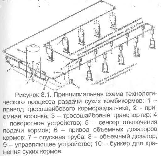 2.3 механизация раздачи кормов