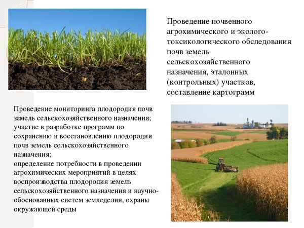 Трансформация представлений я. д. серовайского о раннесредневековой западноевропейской сельской общине | статья в журнале «молодой ученый»