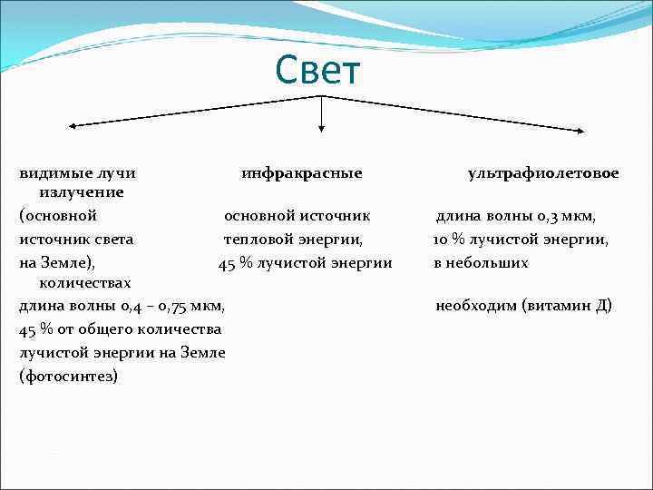 Термофильность