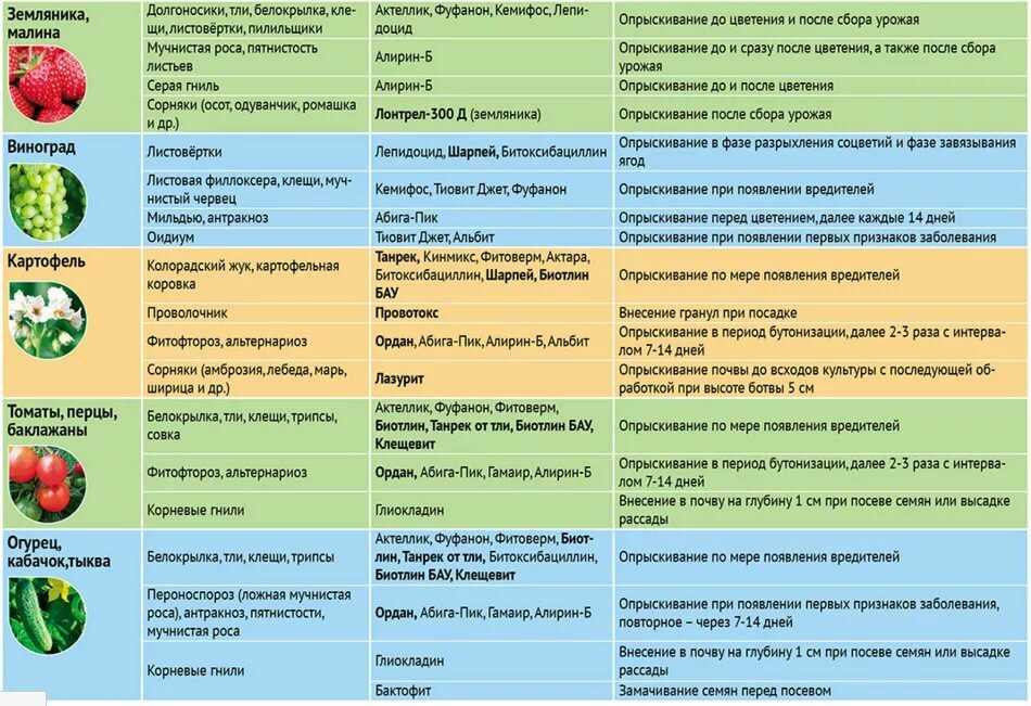 Краткая характеристика основных вредителей яблони  |  аппяпм