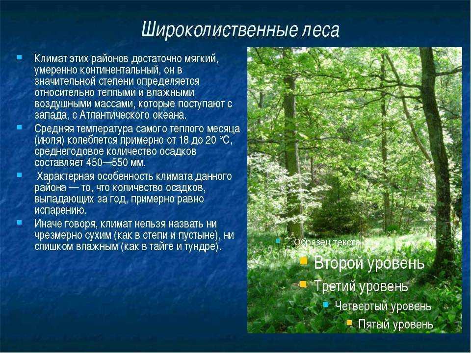 Экосистема прибрежные