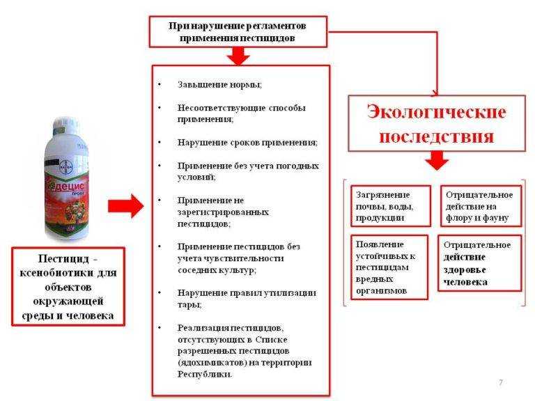 Чем опасны пестициды для окружающей среды кратко
