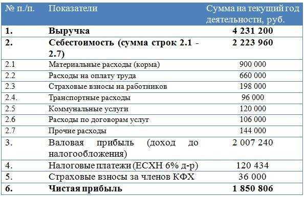 Бизнес-план по разведению бройлеров с расчетами