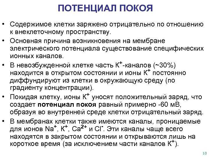 Характеристика внутриклеточной и внеклеточной среды возбудимой клетки кратко