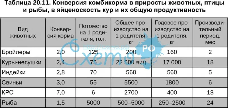 Практические рекомендации  по расчету годовой потребности в кормах — delyanka.com - все о нормированном кормлении