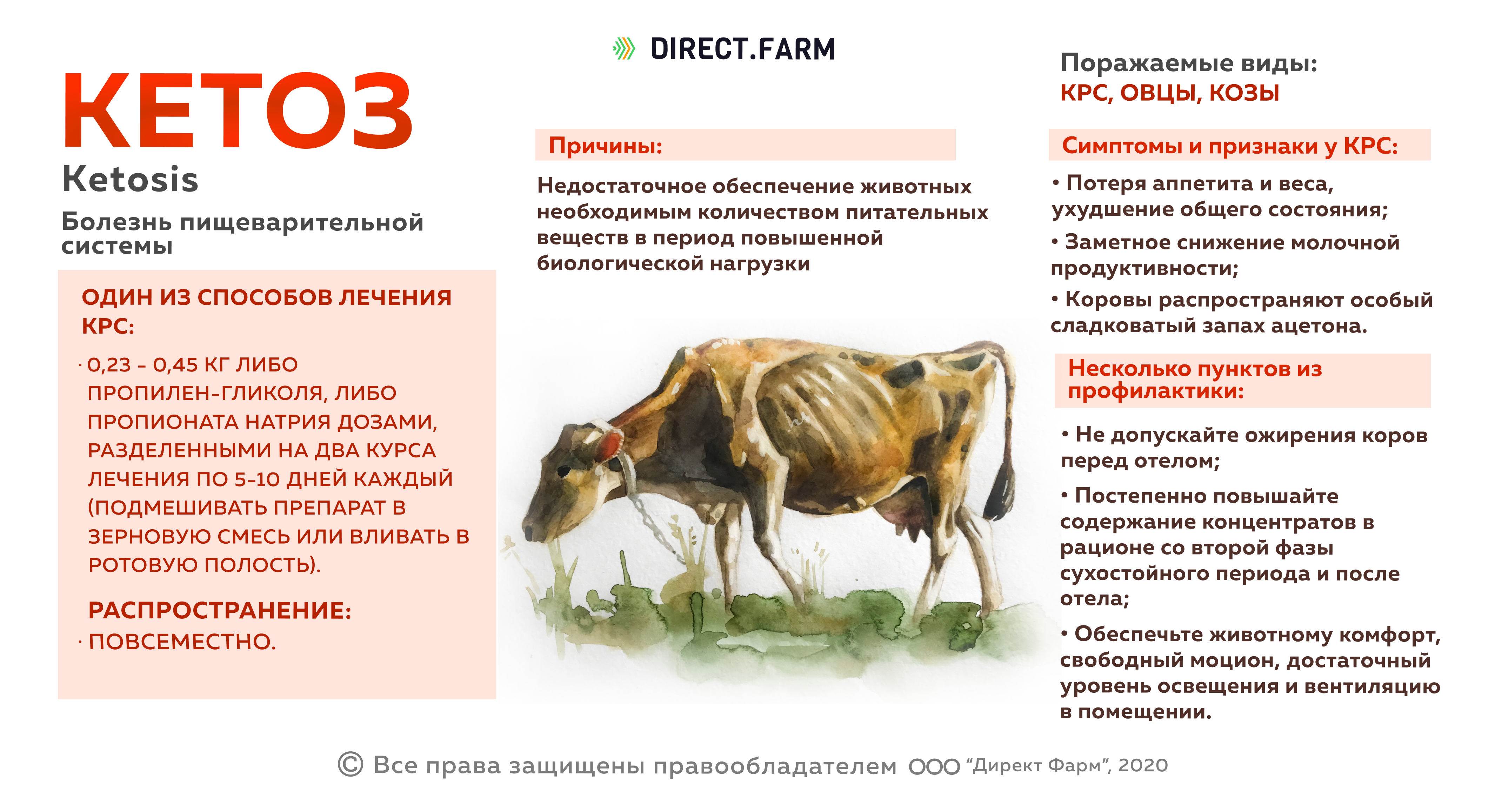 ᐉ эзофагостомоз свиней: симптомы, лечение - zooon.ru