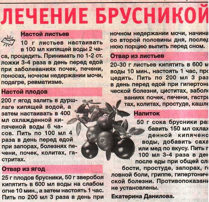 Чеснок: выращивание, уход, сбор и хранение, виды и сорта