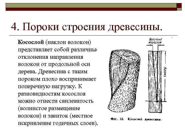 Пороки древесины: виды, гост, влияние на качество