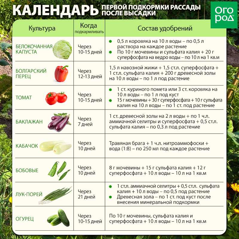Особенности питания сахарной свеклы — кыргызкорм