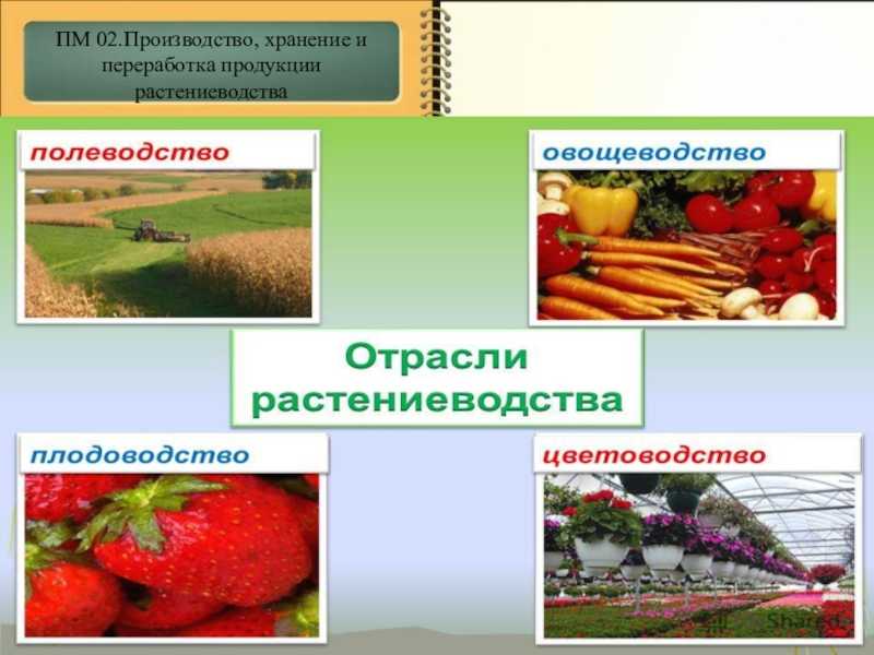 Сыпучесть
 - большая энциклопедия нефти и газа, статья, страница 3