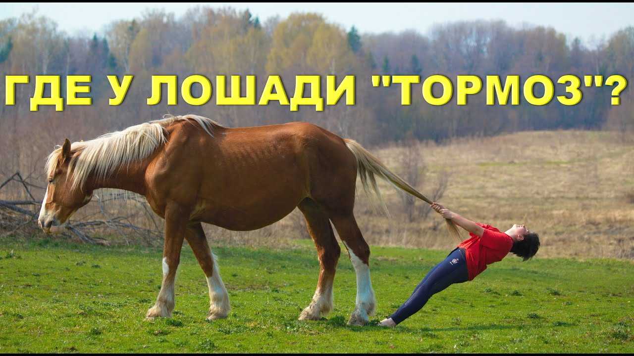 Inbalancehorse method
