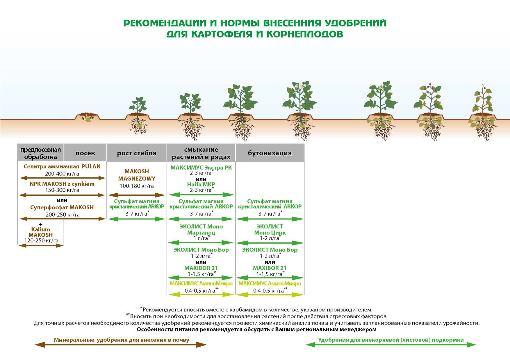 3.2 отношение культуры к условиям питания в разные периоды роста и динамика потребления элементов питания