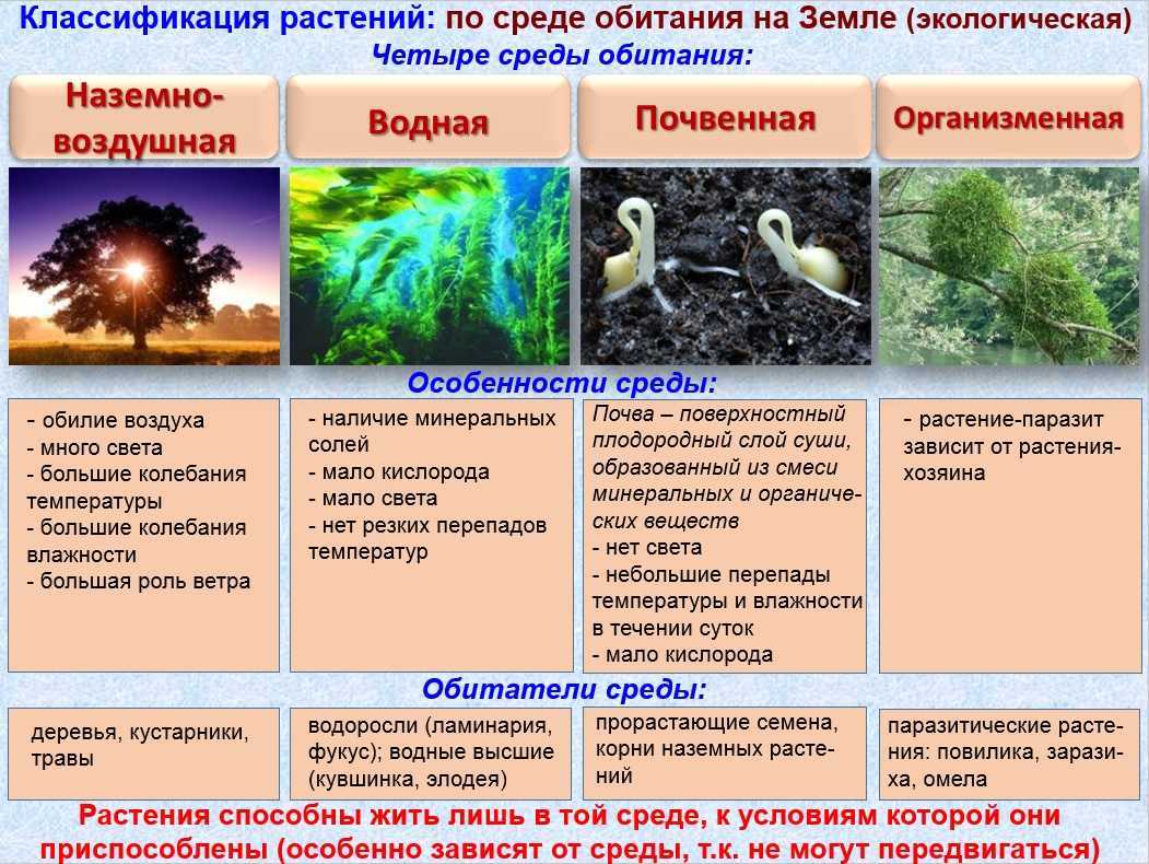 Организм и среда.