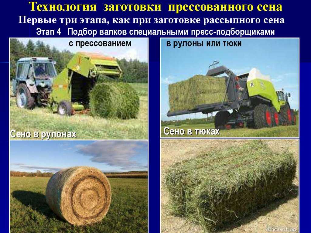 Технология заготовки сена кратко