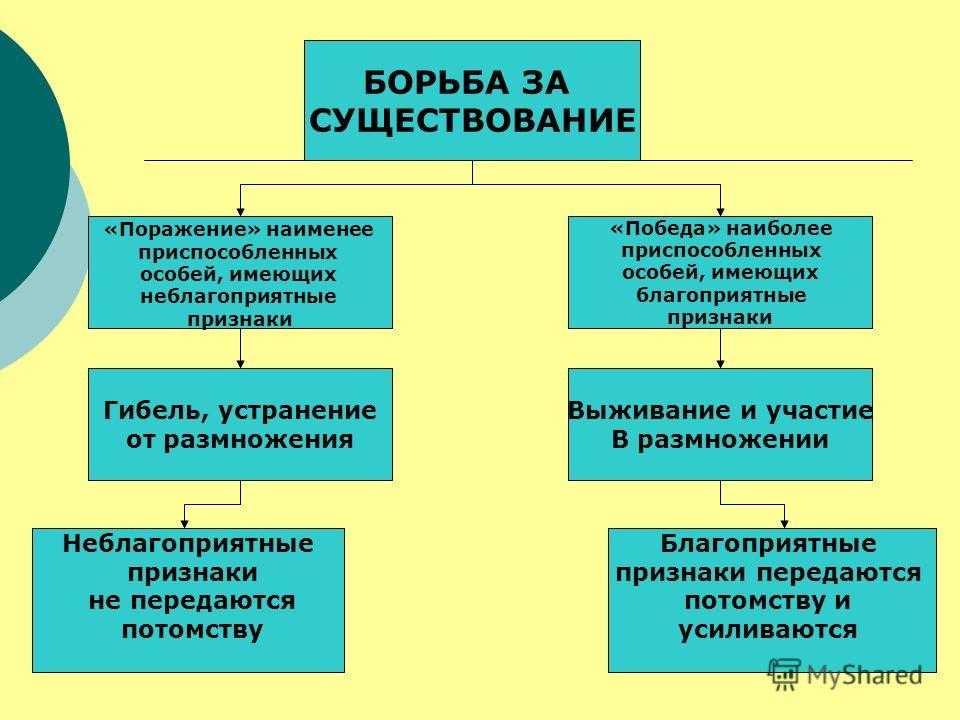 Борьба за существование. человек против мифов