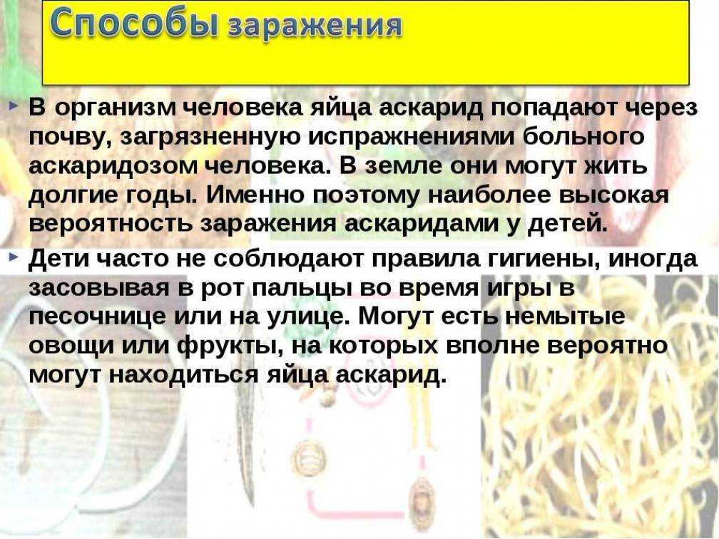 Гельминтозы птиц (даугалиева э. х.) [1990 алтухов н.м., афанасьев в.и., башкиров б.а. - краткий справочник ветеринарного врача]