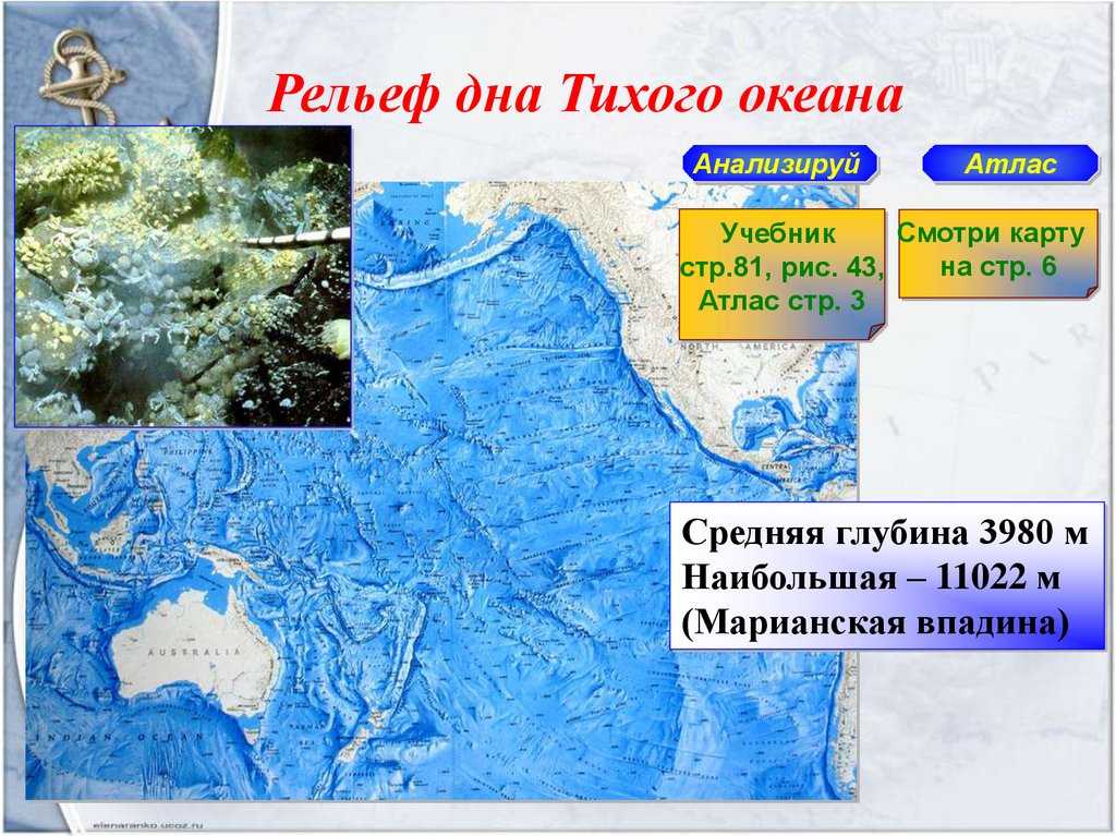 Геологическое строение и рельеф дна атлантического океана
