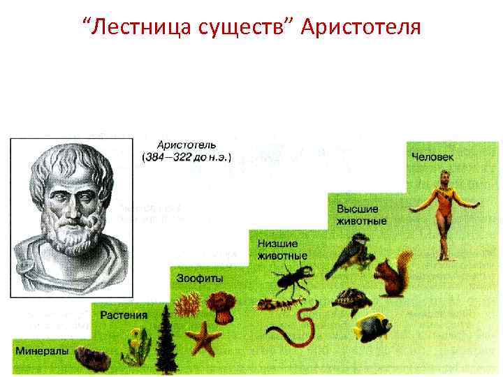 Untitled document