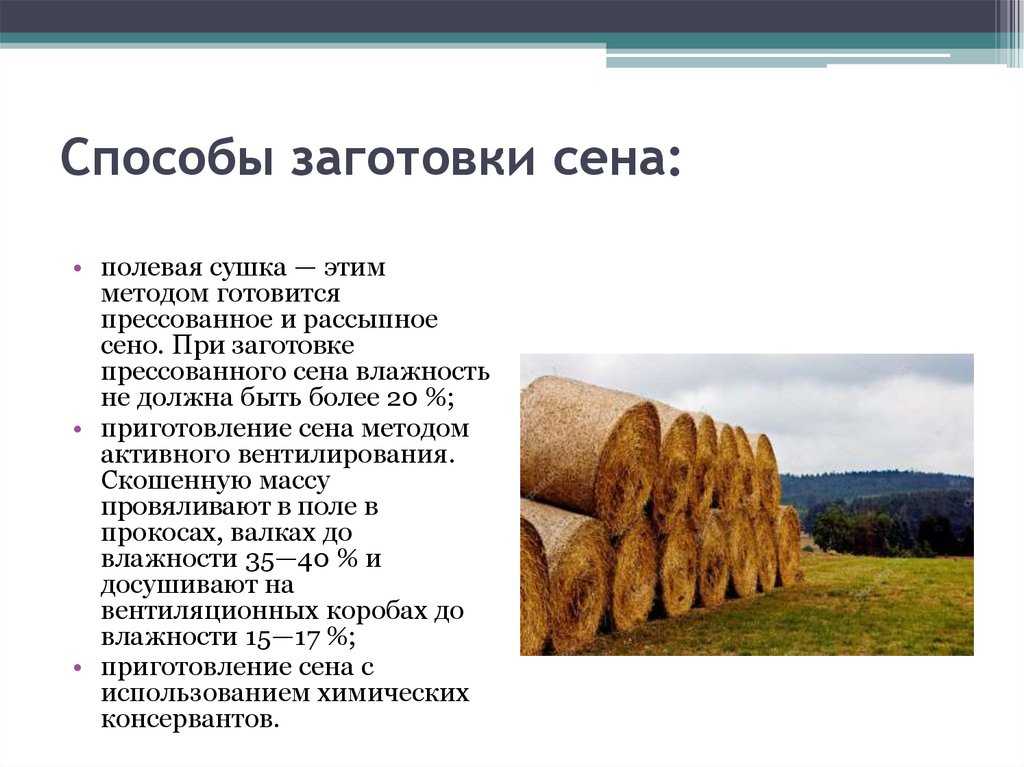 Технология приготовления и хранения сенажа