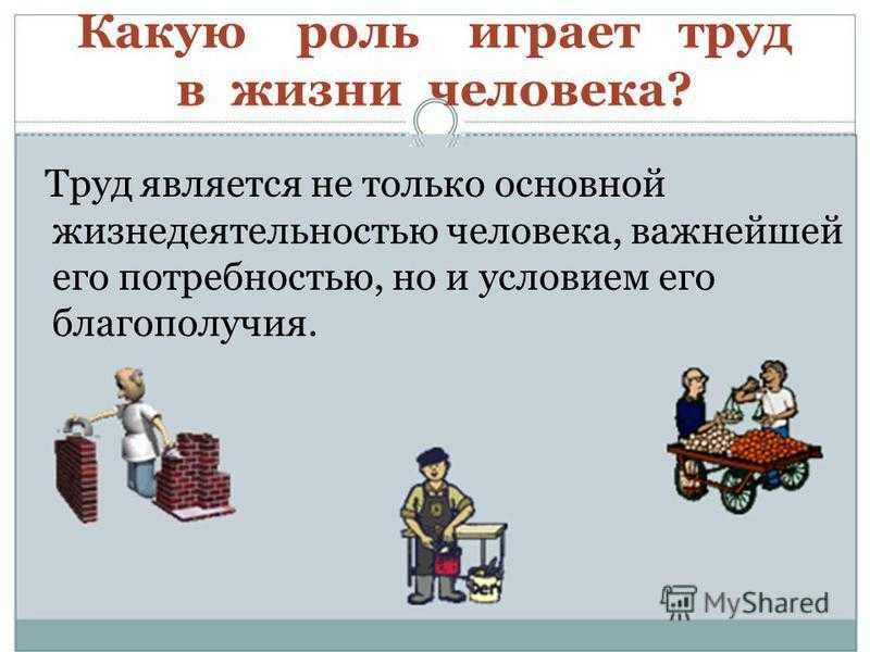 Основа жизни