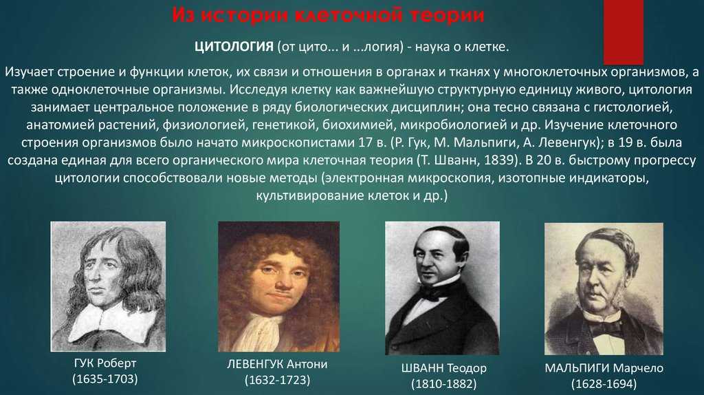 Как менялись представления о клетке и сформировалось современное положение клеточной теории. история создания и основные положения клеточной теории клеточная теория свидетельствует о том что