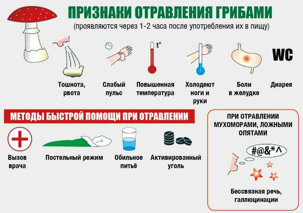 Токсичность продуктов горения и их группы т1, т2, т3, т4