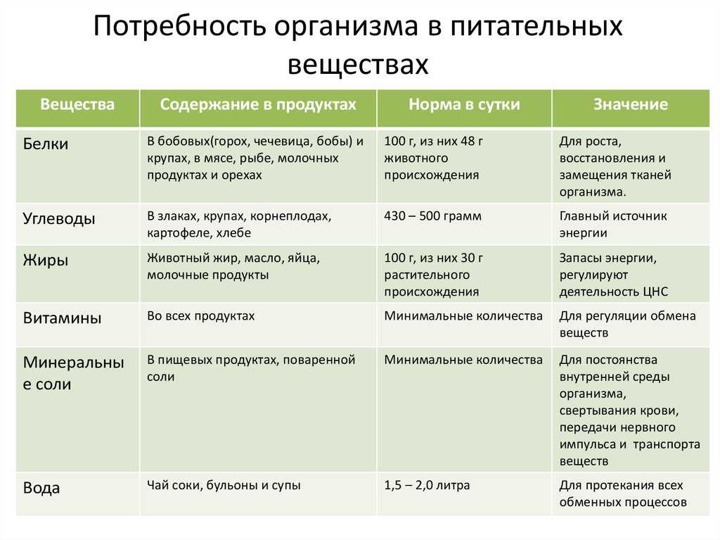Основные питательные вещества для организма. пищевые вещества и их значение для организма