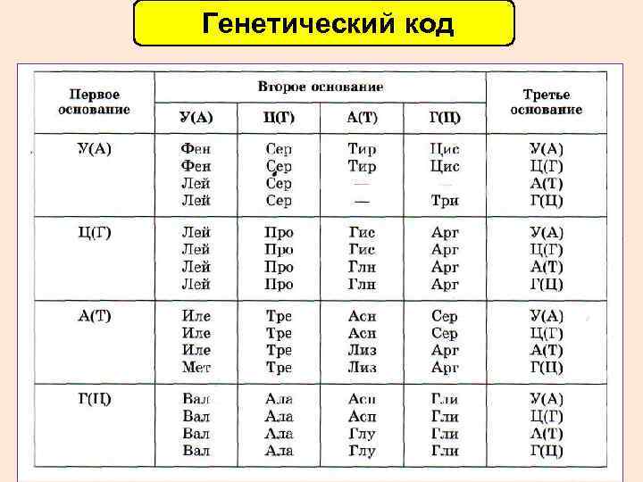 Тест по биологии генетическая информация в клетке. генетический код и его свойства. биосинтез белка 10 класс