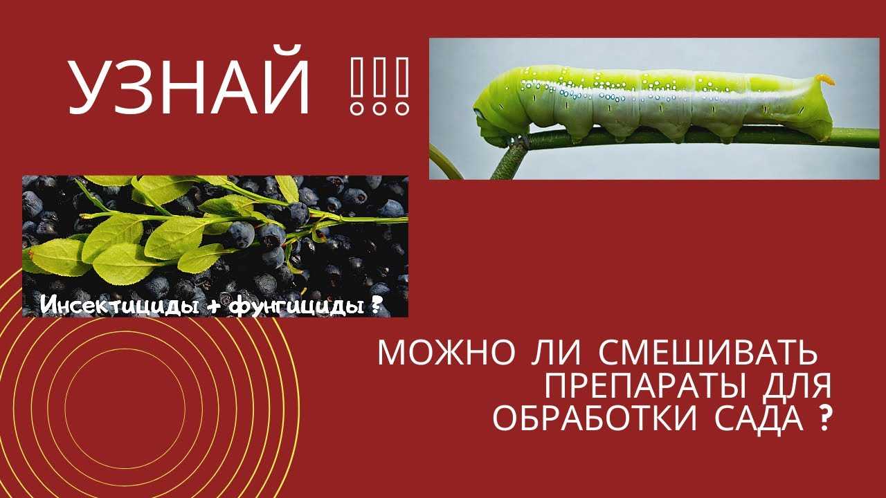 Костяное удобрение