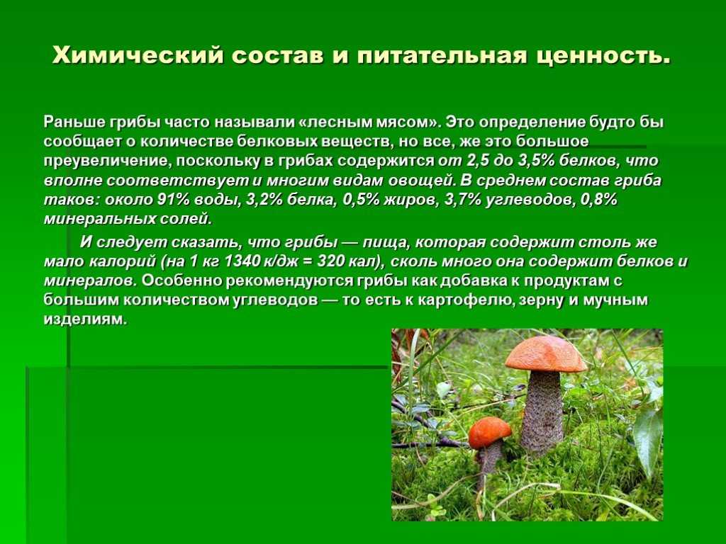 Грибы соломенные — химический состав, пищевая ценность, бжу