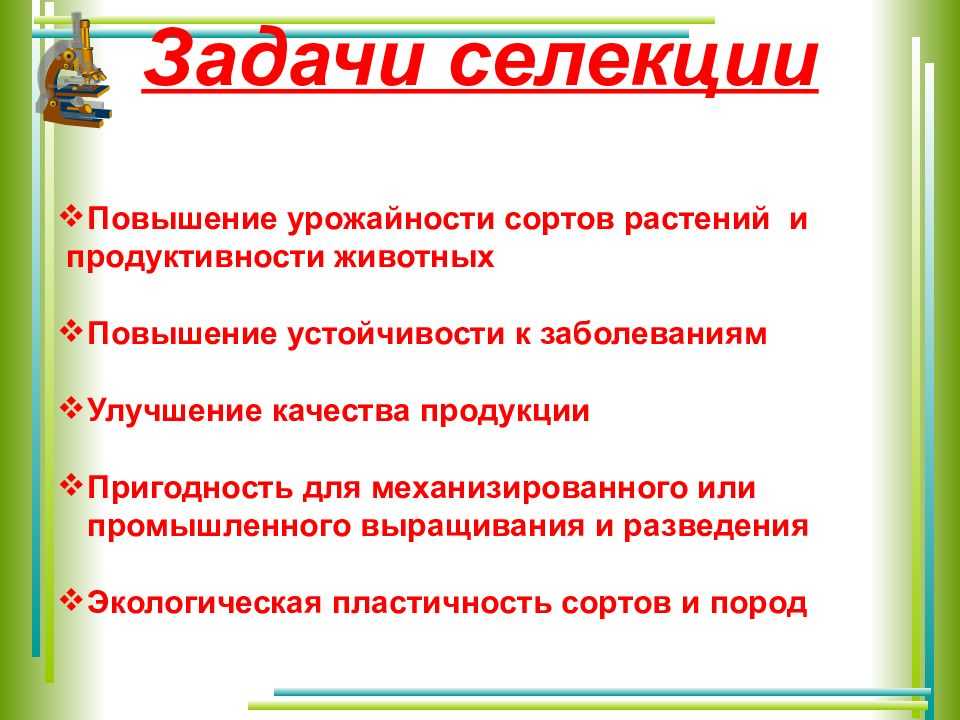 Селекция как изменение человеком культурных форм организмов / биология 9 класс