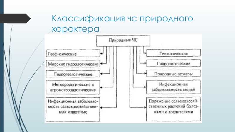 Описание способов распространения семян растений в природе