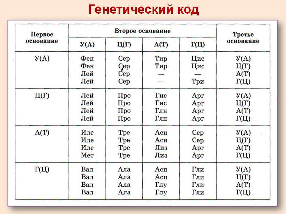 Биология клетки/часть 1. клетка как она есть/3/4