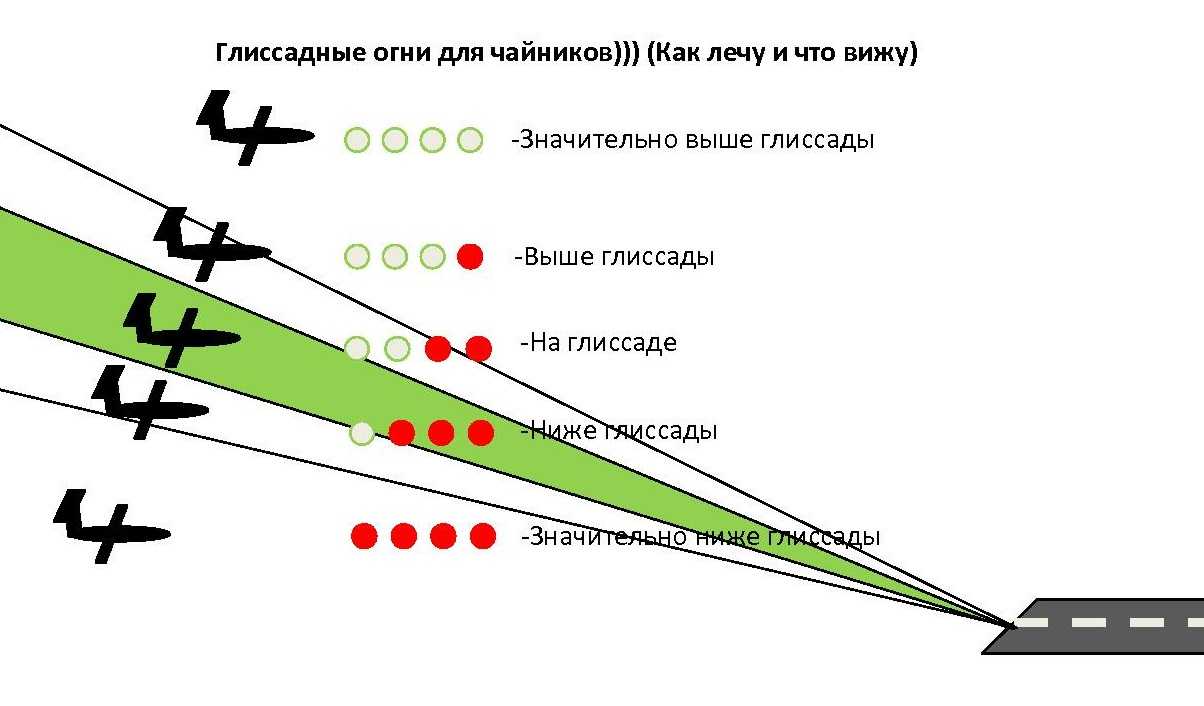 Возможно ли межвидовое общение среди птиц?