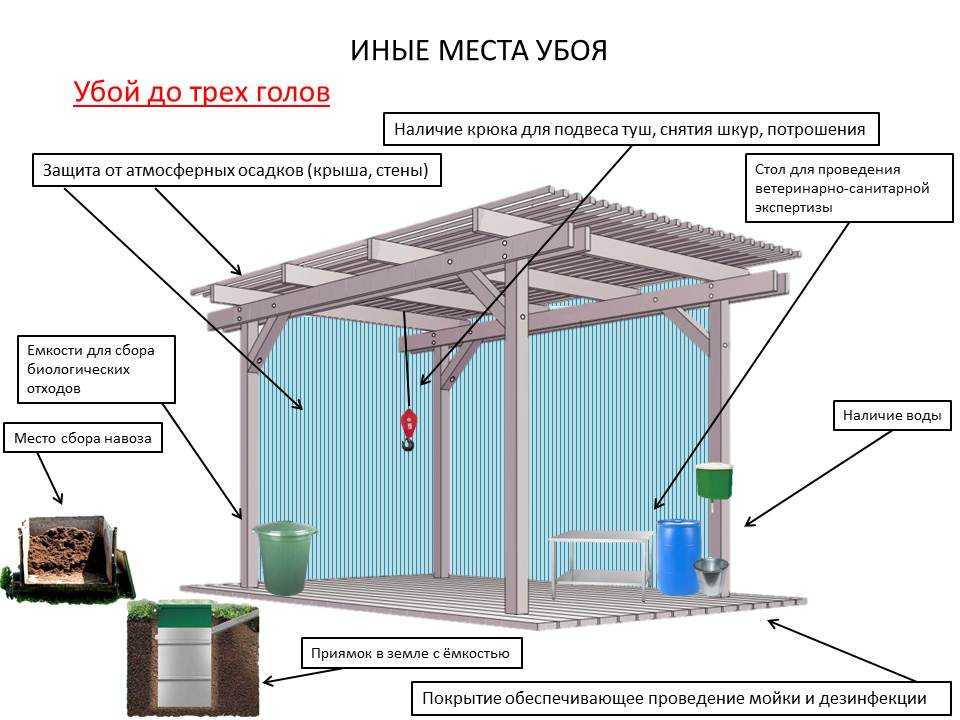 Технология первичной переработки продуктов животноводства