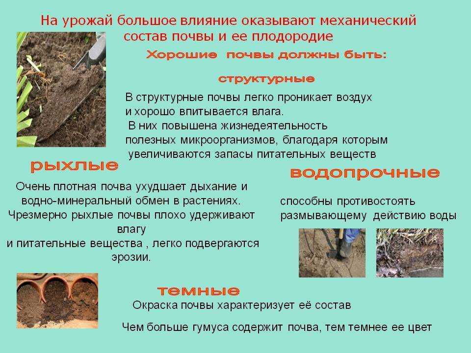 Почва фазовый состав почвы