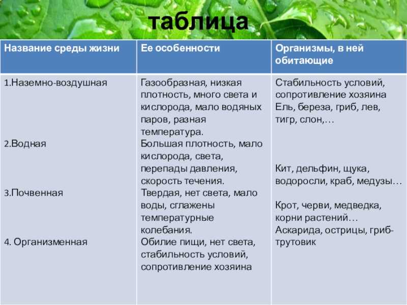 Факторы среды и общие закономерности их действия на организмы